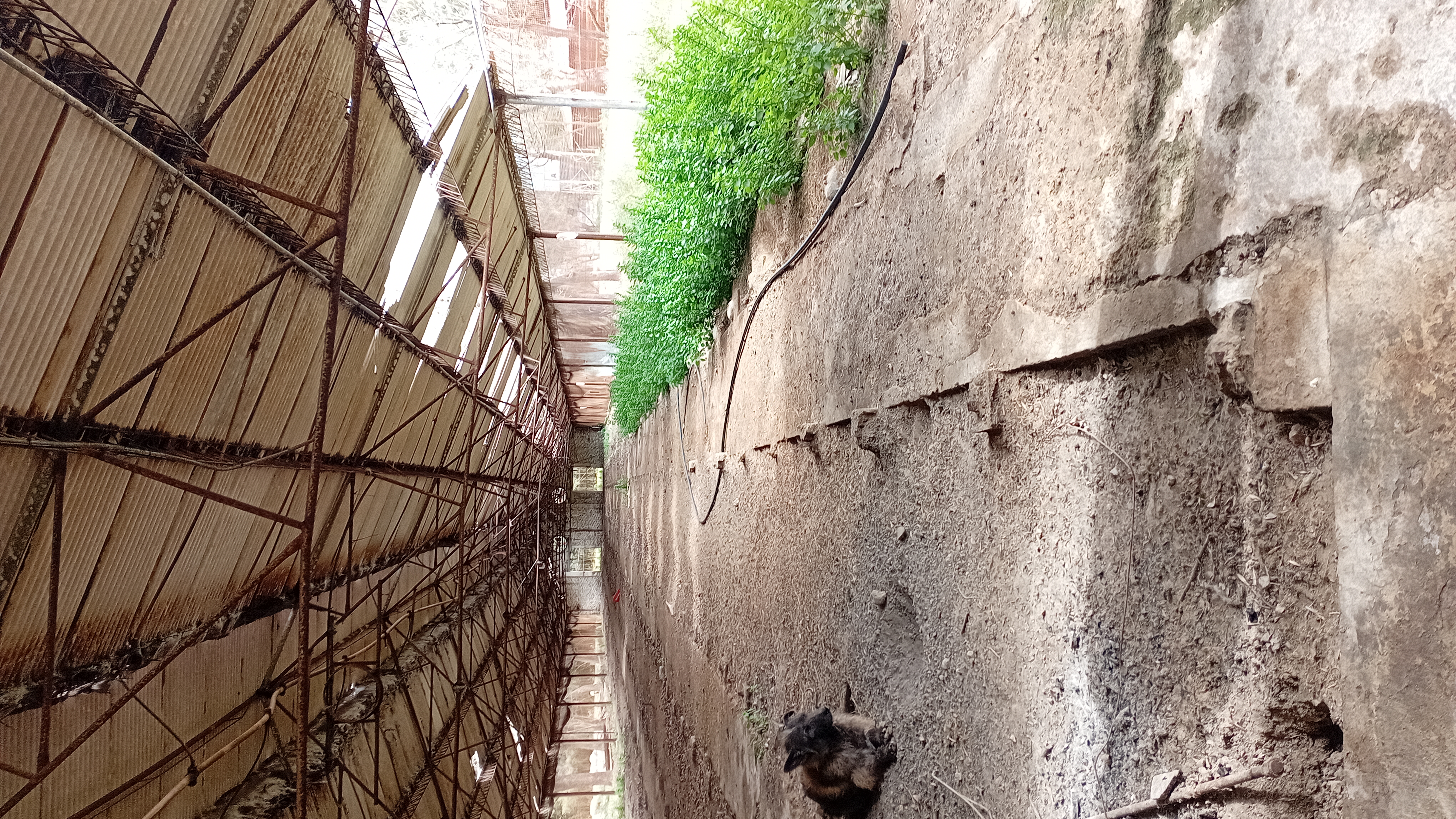 VENTA - 2 HECTAREAS IDEALES PARA SIEMBRA O EMPRENDIMIENTO PRODUCTIVO.

SE VENDEN 2 HECTAREAS DE TERRENO CON EXCELENTES CONDICIONES PARA SIEMBRA, CULTIVO O DESARROLLO DE EMPRENDIMIENTO.

LA PROPIEDAD CUENTA CON GALPONES AMPLIOS, IDEALES PARA ALMACENAMIENTO DE HERRAMIENTAS, MAQUINARIA O MERCADERIA.
SALON DE ATENCION Y/O DISTRIBUCION, ADAPTABLE PARA OFICINA COMERCIAL, PUNTO DE VENTA O LOGISTICA.
VIVIENDA DENTRO DEL PREDIO, COMODA Y FUNCIONAL.
AMPLIO ESPACIO PARA PRODUCCION, CULTIBO O EXPANSION DE INSTALACIONES.

IDEAL PARA PRODUCTORES, VIVEROS, DISTRIBUCION O PROYECTOS MIXTOS (producción + vivienda)

ENTORNO TRANQUILO Y CON GRAN POTENCIAL. 
UNA CALLE DA SOBRE ALBERDI Y LA OTRA CON CHUBUT.

CONSULTAR PARA MAS INFORMACION O COORDINAR VISITA.