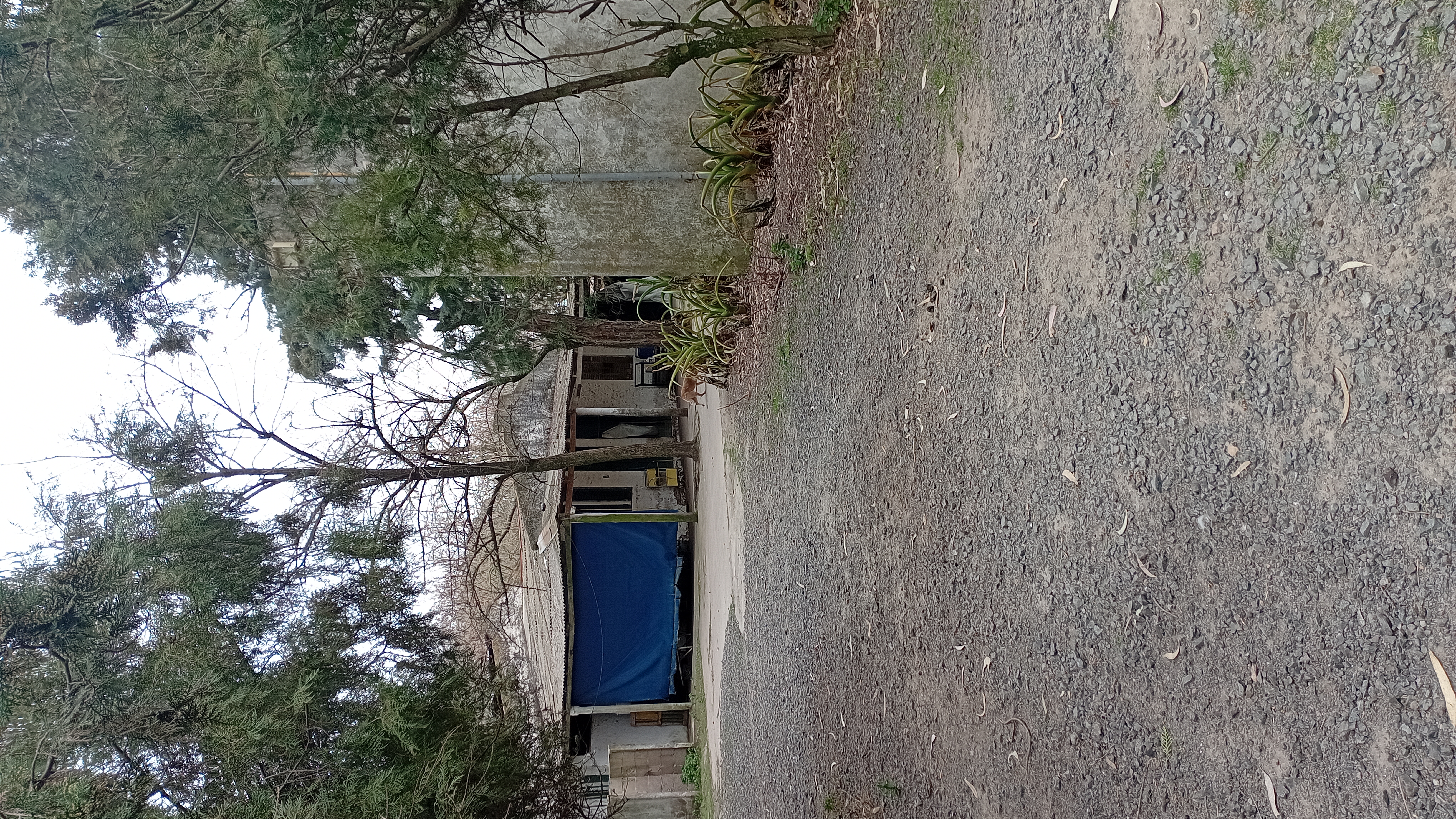 VENTA - 2 HECTAREAS IDEALES PARA SIEMBRA O EMPRENDIMIENTO PRODUCTIVO.

SE VENDEN 2 HECTAREAS DE TERRENO CON EXCELENTES CONDICIONES PARA SIEMBRA, CULTIVO O DESARROLLO DE EMPRENDIMIENTO.

LA PROPIEDAD CUENTA CON GALPONES AMPLIOS, IDEALES PARA ALMACENAMIENTO DE HERRAMIENTAS, MAQUINARIA O MERCADERIA.
SALON DE ATENCION Y/O DISTRIBUCION, ADAPTABLE PARA OFICINA COMERCIAL, PUNTO DE VENTA O LOGISTICA.
VIVIENDA DENTRO DEL PREDIO, COMODA Y FUNCIONAL.
AMPLIO ESPACIO PARA PRODUCCION, CULTIBO O EXPANSION DE INSTALACIONES.

IDEAL PARA PRODUCTORES, VIVEROS, DISTRIBUCION O PROYECTOS MIXTOS (producción + vivienda)

ENTORNO TRANQUILO Y CON GRAN POTENCIAL. 
UNA CALLE DA SOBRE ALBERDI Y LA OTRA CON CHUBUT.

CONSULTAR PARA MAS INFORMACION O COORDINAR VISITA.