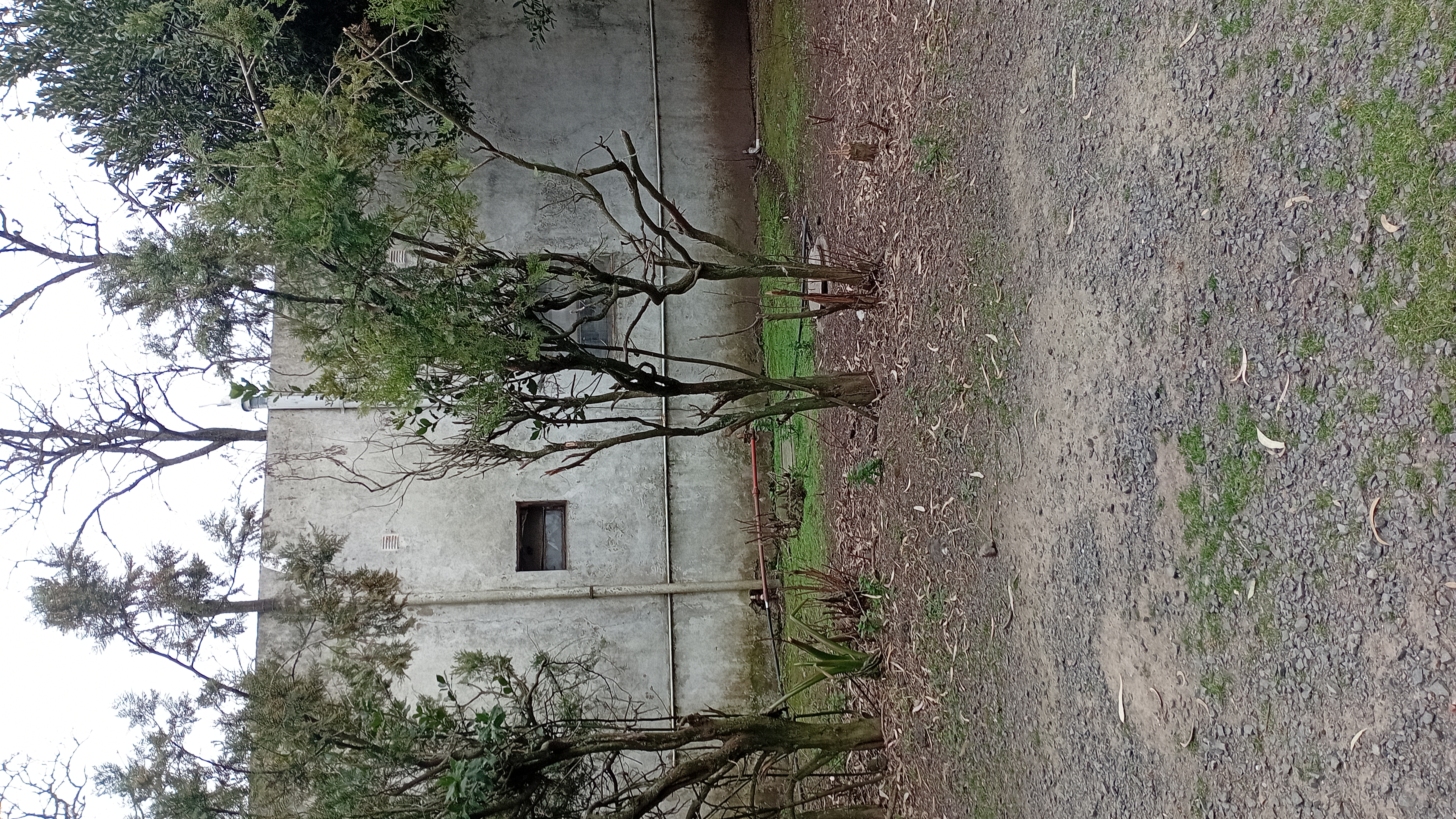 VENTA - 2 HECTAREAS IDEALES PARA SIEMBRA O EMPRENDIMIENTO PRODUCTIVO.

SE VENDEN 2 HECTAREAS DE TERRENO CON EXCELENTES CONDICIONES PARA SIEMBRA, CULTIVO O DESARROLLO DE EMPRENDIMIENTO.

LA PROPIEDAD CUENTA CON GALPONES AMPLIOS, IDEALES PARA ALMACENAMIENTO DE HERRAMIENTAS, MAQUINARIA O MERCADERIA.
SALON DE ATENCION Y/O DISTRIBUCION, ADAPTABLE PARA OFICINA COMERCIAL, PUNTO DE VENTA O LOGISTICA.
VIVIENDA DENTRO DEL PREDIO, COMODA Y FUNCIONAL.
AMPLIO ESPACIO PARA PRODUCCION, CULTIBO O EXPANSION DE INSTALACIONES.

IDEAL PARA PRODUCTORES, VIVEROS, DISTRIBUCION O PROYECTOS MIXTOS (producción + vivienda)

ENTORNO TRANQUILO Y CON GRAN POTENCIAL. 
UNA CALLE DA SOBRE ALBERDI Y LA OTRA CON CHUBUT.

CONSULTAR PARA MAS INFORMACION O COORDINAR VISITA.