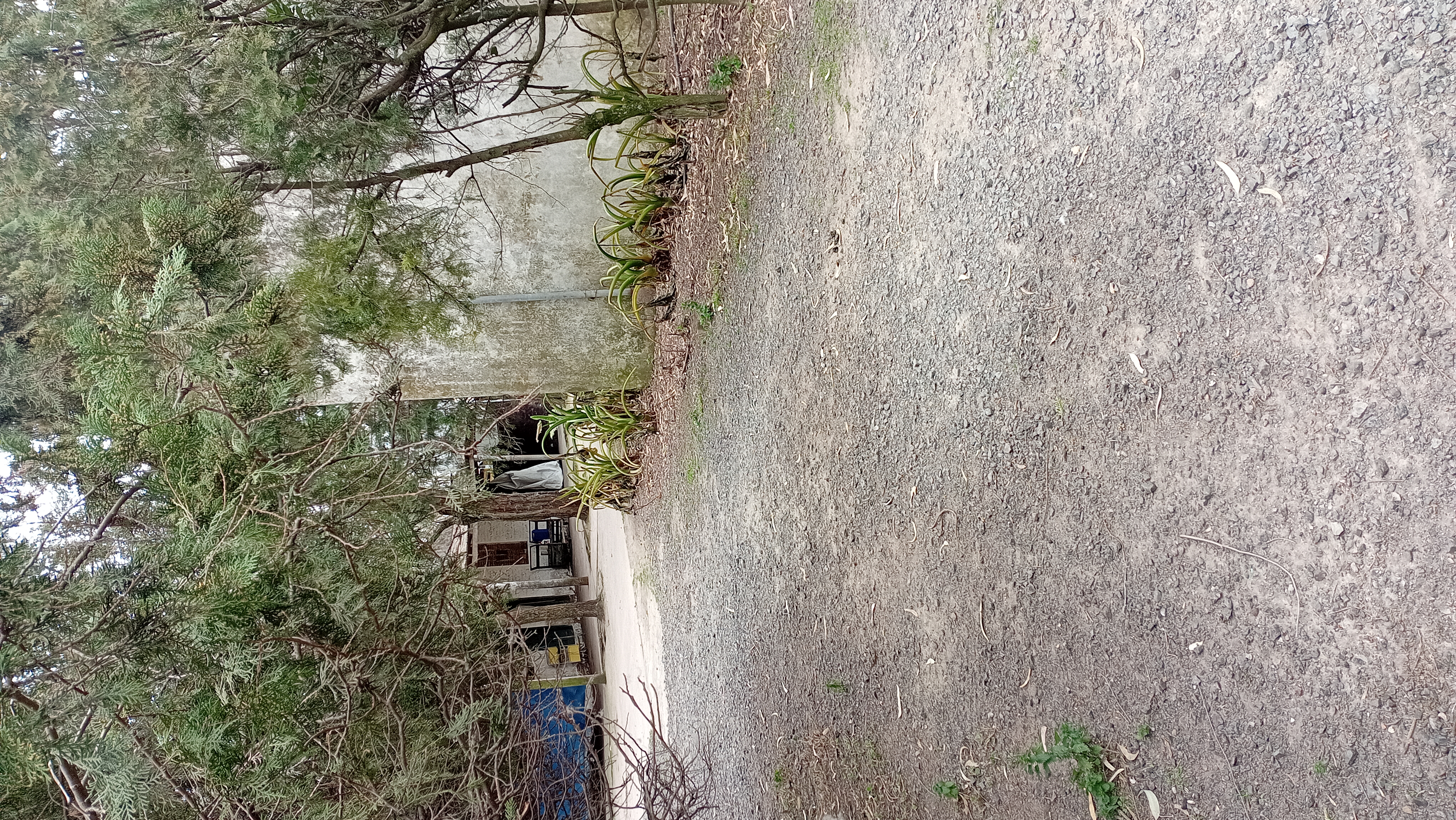 VENTA - 2 HECTAREAS IDEALES PARA SIEMBRA O EMPRENDIMIENTO PRODUCTIVO.

SE VENDEN 2 HECTAREAS DE TERRENO CON EXCELENTES CONDICIONES PARA SIEMBRA, CULTIVO O DESARROLLO DE EMPRENDIMIENTO.

LA PROPIEDAD CUENTA CON GALPONES AMPLIOS, IDEALES PARA ALMACENAMIENTO DE HERRAMIENTAS, MAQUINARIA O MERCADERIA.
SALON DE ATENCION Y/O DISTRIBUCION, ADAPTABLE PARA OFICINA COMERCIAL, PUNTO DE VENTA O LOGISTICA.
VIVIENDA DENTRO DEL PREDIO, COMODA Y FUNCIONAL.
AMPLIO ESPACIO PARA PRODUCCION, CULTIBO O EXPANSION DE INSTALACIONES.

IDEAL PARA PRODUCTORES, VIVEROS, DISTRIBUCION O PROYECTOS MIXTOS (producción + vivienda)

ENTORNO TRANQUILO Y CON GRAN POTENCIAL. 
UNA CALLE DA SOBRE ALBERDI Y LA OTRA CON CHUBUT.

CONSULTAR PARA MAS INFORMACION O COORDINAR VISITA.