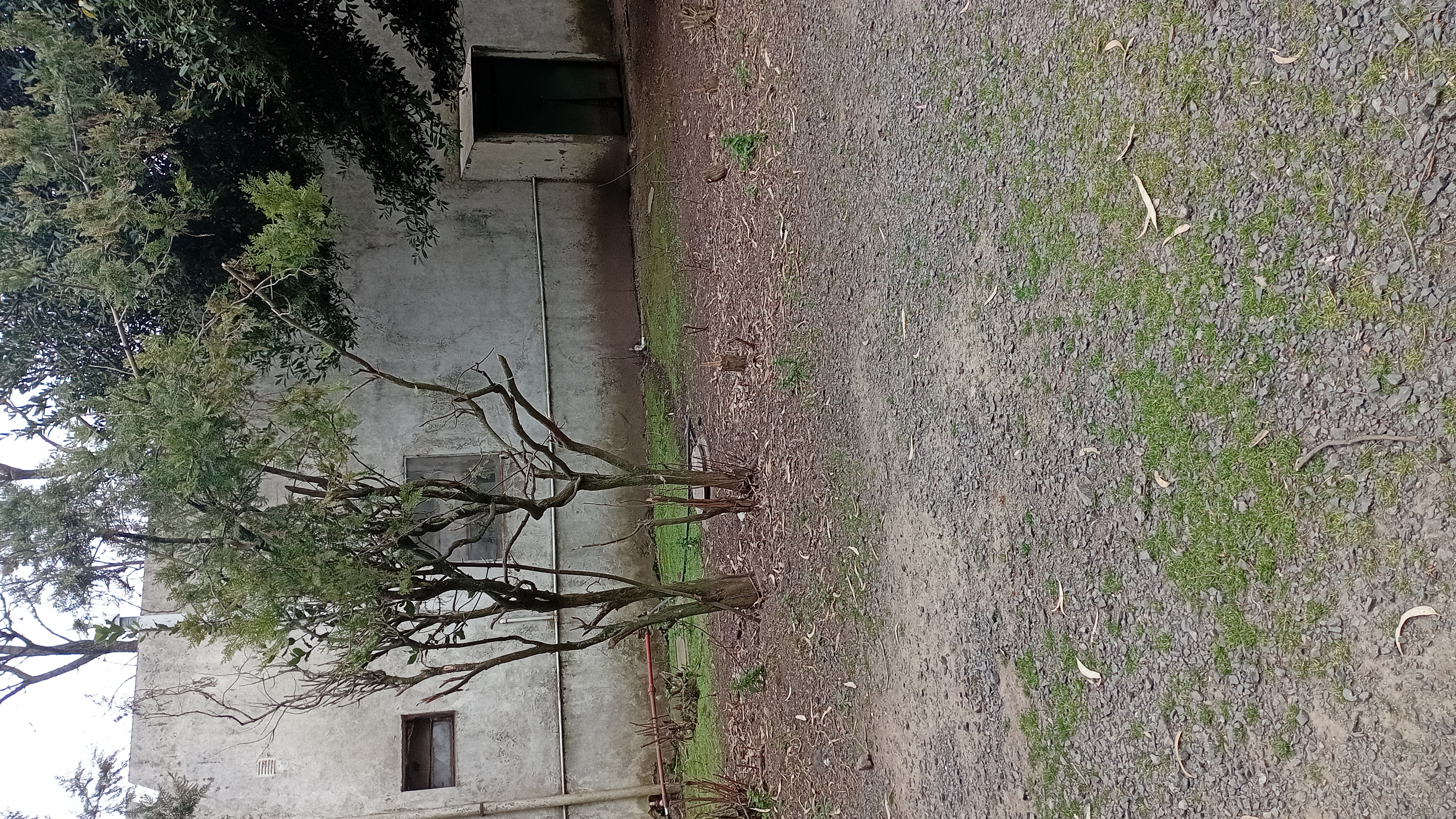 VENTA - 2 HECTAREAS IDEALES PARA SIEMBRA O EMPRENDIMIENTO PRODUCTIVO.

SE VENDEN 2 HECTAREAS DE TERRENO CON EXCELENTES CONDICIONES PARA SIEMBRA, CULTIVO O DESARROLLO DE EMPRENDIMIENTO.

LA PROPIEDAD CUENTA CON GALPONES AMPLIOS, IDEALES PARA ALMACENAMIENTO DE HERRAMIENTAS, MAQUINARIA O MERCADERIA.
SALON DE ATENCION Y/O DISTRIBUCION, ADAPTABLE PARA OFICINA COMERCIAL, PUNTO DE VENTA O LOGISTICA.
VIVIENDA DENTRO DEL PREDIO, COMODA Y FUNCIONAL.
AMPLIO ESPACIO PARA PRODUCCION, CULTIBO O EXPANSION DE INSTALACIONES.

IDEAL PARA PRODUCTORES, VIVEROS, DISTRIBUCION O PROYECTOS MIXTOS (producción + vivienda)

ENTORNO TRANQUILO Y CON GRAN POTENCIAL. 
UNA CALLE DA SOBRE ALBERDI Y LA OTRA CON CHUBUT.

CONSULTAR PARA MAS INFORMACION O COORDINAR VISITA.