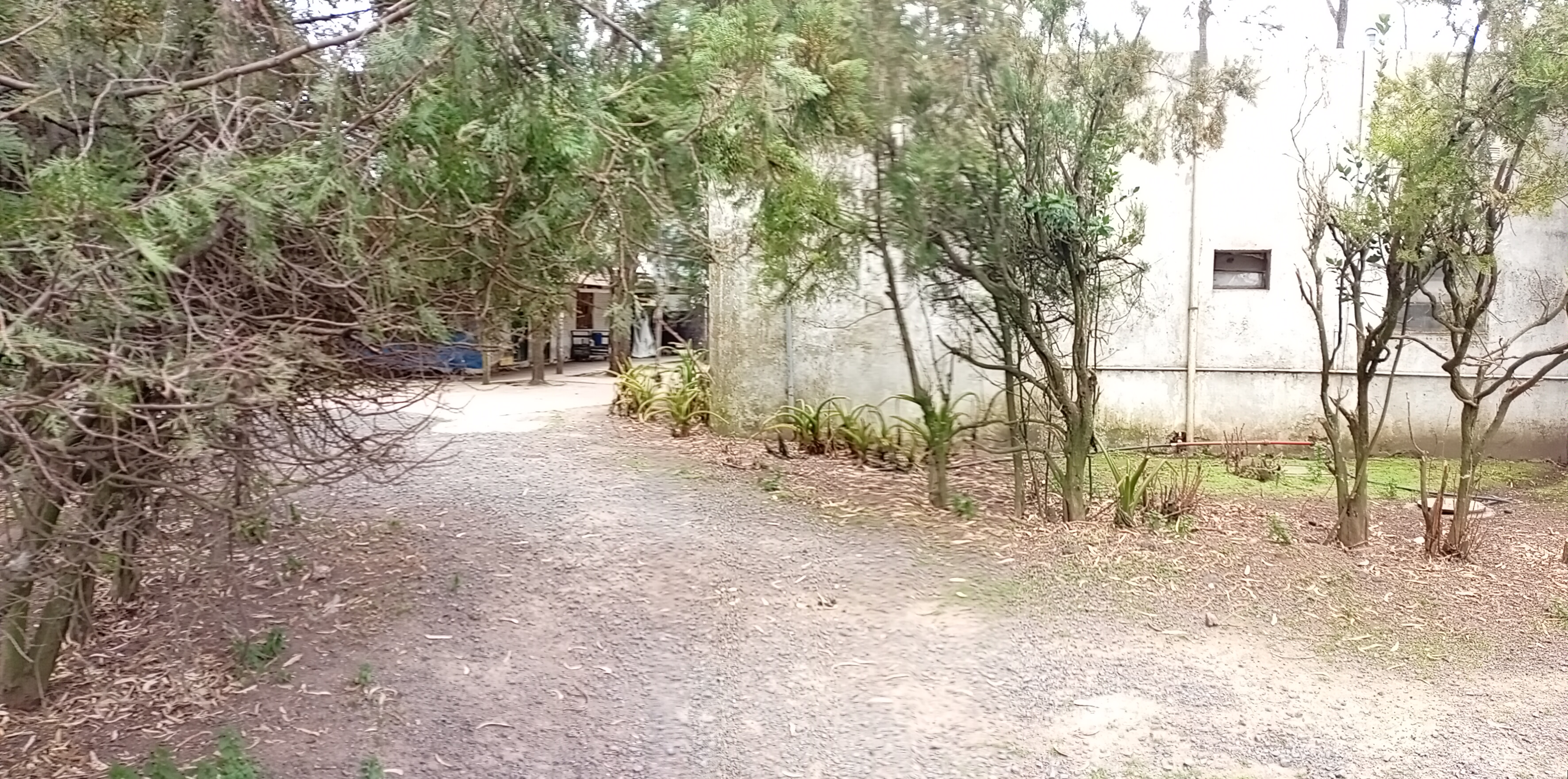 VENTA - 2 HECTAREAS IDEALES PARA SIEMBRA O EMPRENDIMIENTO PRODUCTIVO.

SE VENDEN 2 HECTAREAS DE TERRENO CON EXCELENTES CONDICIONES PARA SIEMBRA, CULTIVO O DESARROLLO DE EMPRENDIMIENTO.

LA PROPIEDAD CUENTA CON GALPONES AMPLIOS, IDEALES PARA ALMACENAMIENTO DE HERRAMIENTAS, MAQUINARIA O MERCADERIA.
SALON DE ATENCION Y/O DISTRIBUCION, ADAPTABLE PARA OFICINA COMERCIAL, PUNTO DE VENTA O LOGISTICA.
VIVIENDA DENTRO DEL PREDIO, COMODA Y FUNCIONAL.
AMPLIO ESPACIO PARA PRODUCCION, CULTIBO O EXPANSION DE INSTALACIONES.

IDEAL PARA PRODUCTORES, VIVEROS, DISTRIBUCION O PROYECTOS MIXTOS (producción + vivienda)

ENTORNO TRANQUILO Y CON GRAN POTENCIAL. 
UNA CALLE DA SOBRE ALBERDI Y LA OTRA CON CHUBUT.

CONSULTAR PARA MAS INFORMACION O COORDINAR VISITA.